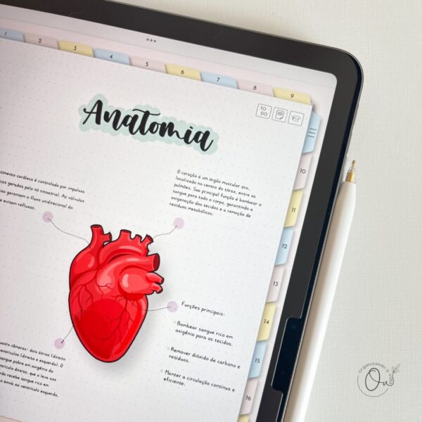 Caderno Digital - Argolado 20 matérias - Image 12
